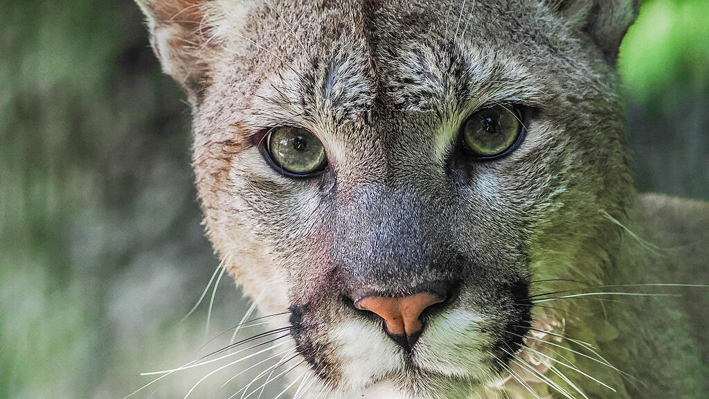 Zoo Salzburg