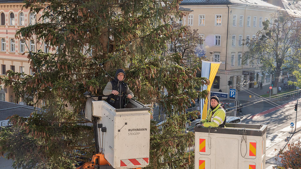 Mit Lichterketten behängt.jpg