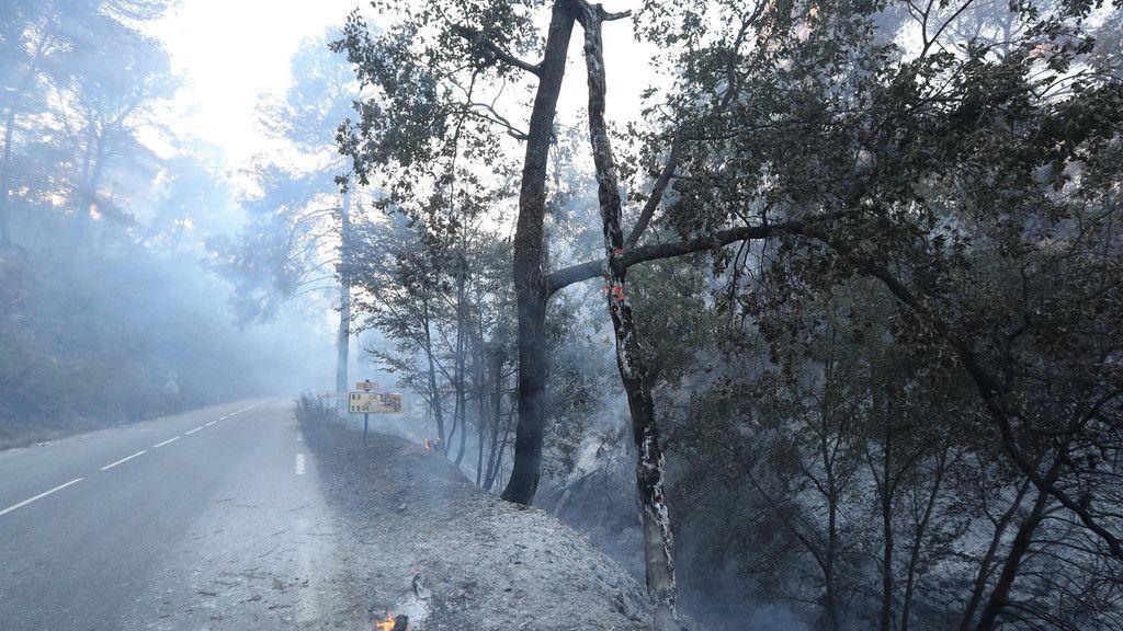 Feuer in Südfrankreich