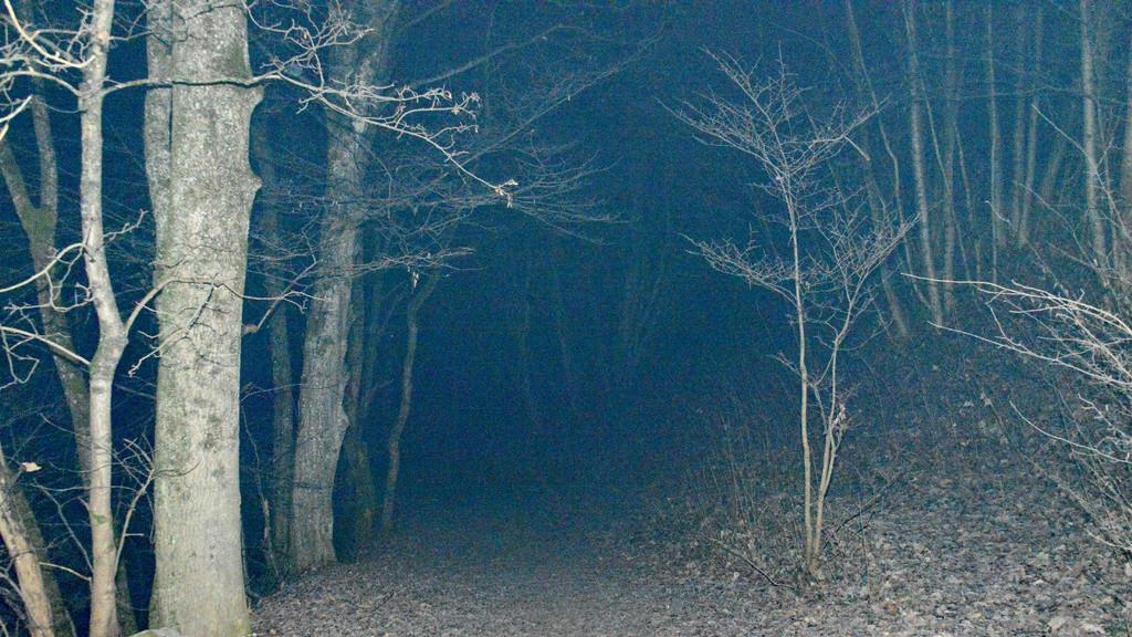 Vermisstensuche am Klausbach