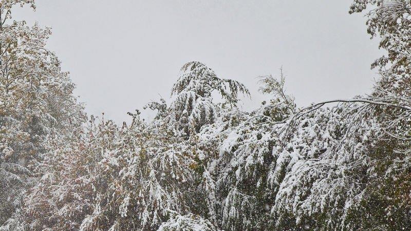 Schnee im Flachgau