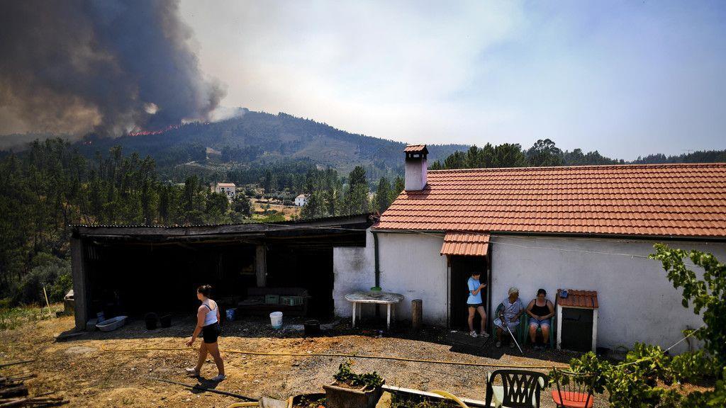 Schwere Waldbrände in Portugal
