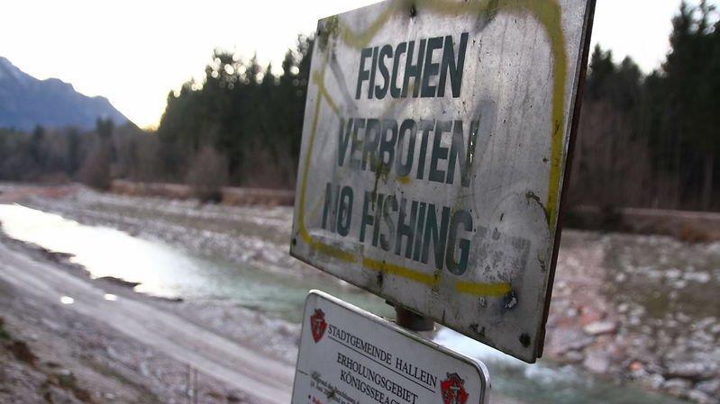 Sanierung der Salzach