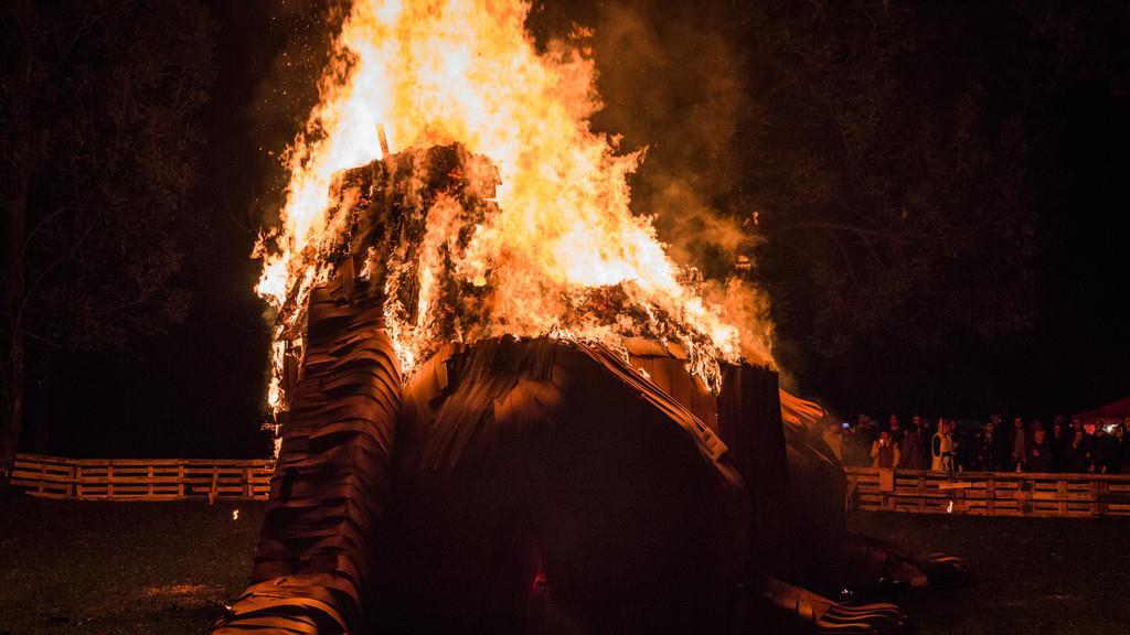 Burning Animal II