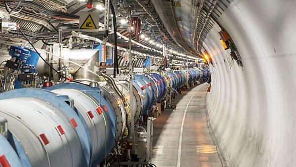 Marder löste Kurzschluss im CERN aus