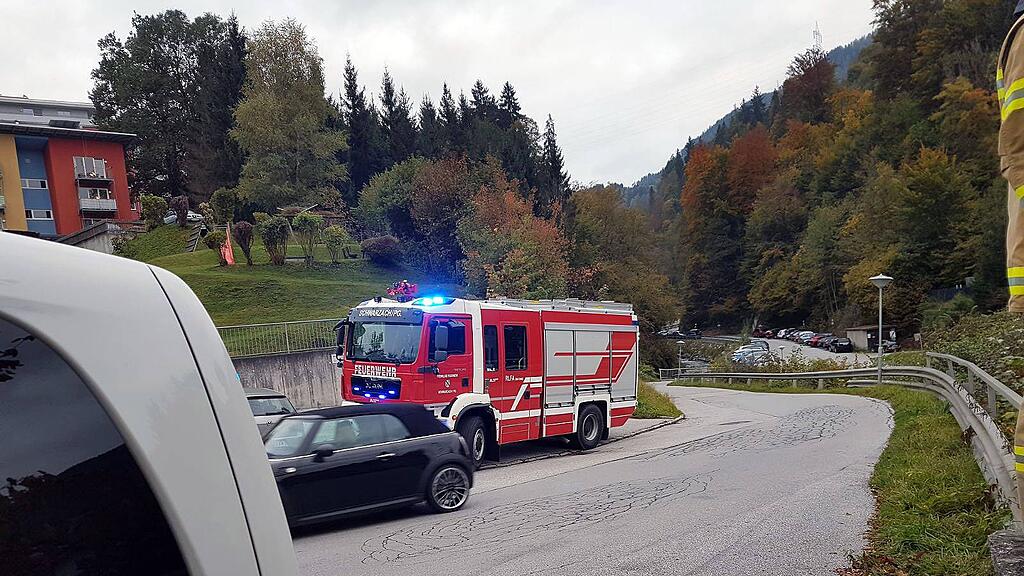 Die Freiwillige Feuerwehr Schwarzach wurde Montagfrüh mittels Piepsalarm zur Tierrettung alarmiert.