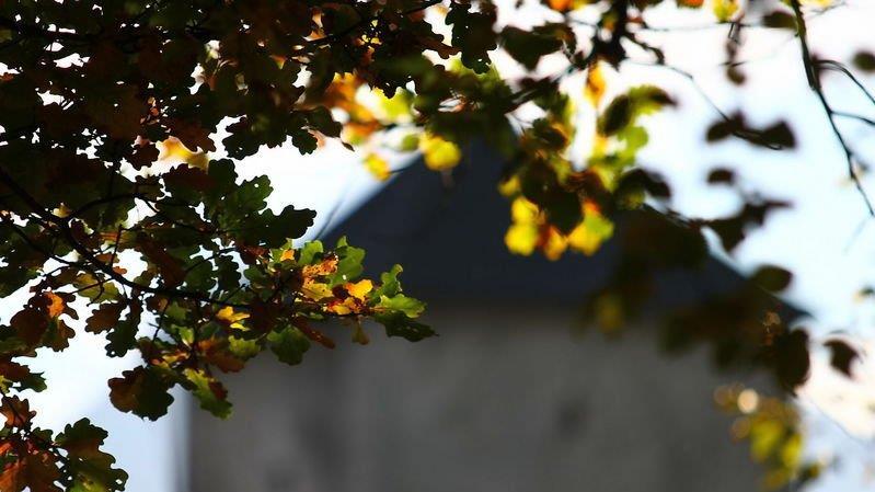 Herbstlicher Mönchsberg