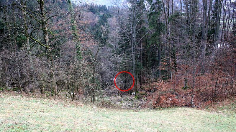 Unfall Kuchl