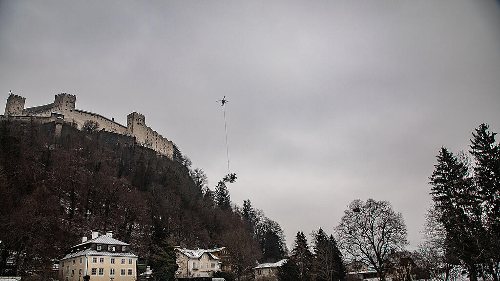 Baumf\u00e4llung am Nonnberg
