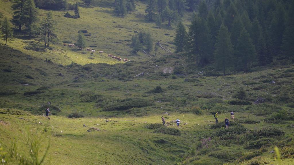 Riesige Suchaktion im Pongau