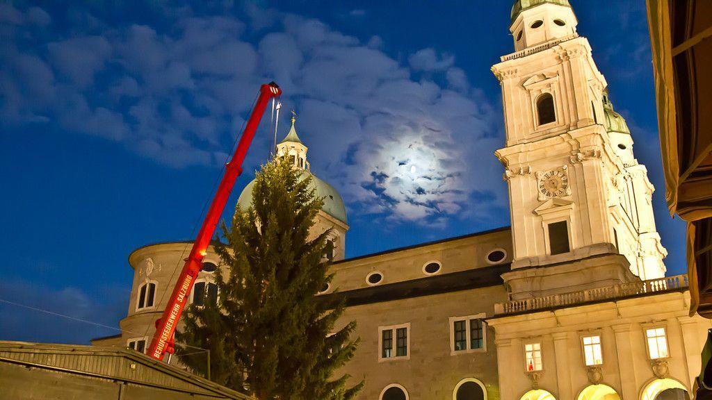 Christbaum ist angekommen