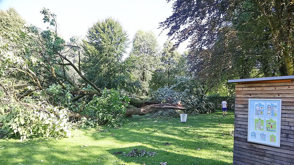 lepi unwetter schäden