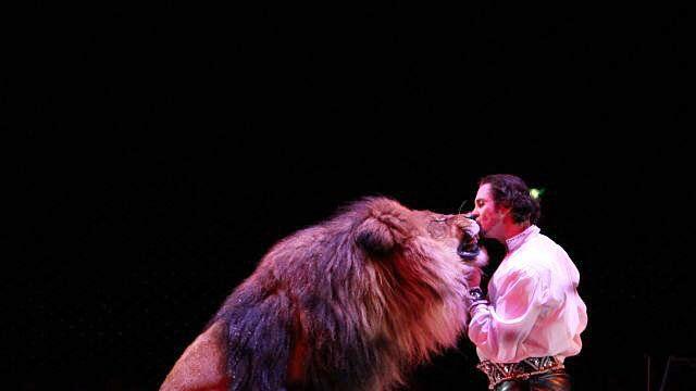 Löwen, Elefanten & Co gibt es im Circus Krone zu bestaunen.