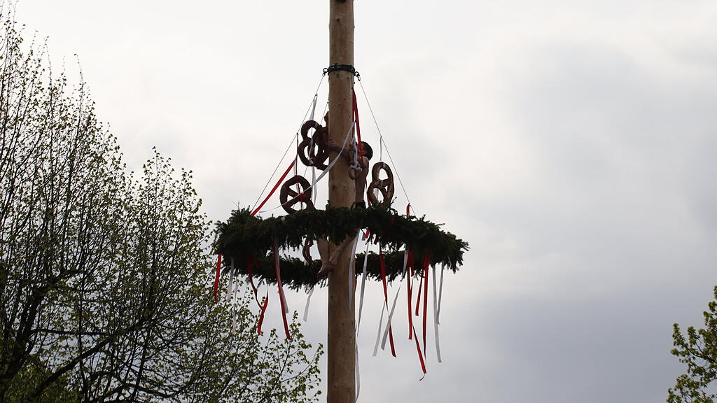 Maibaumaufstellen in Anif
