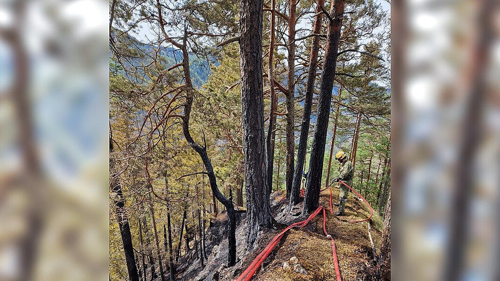 waldbrand liezen