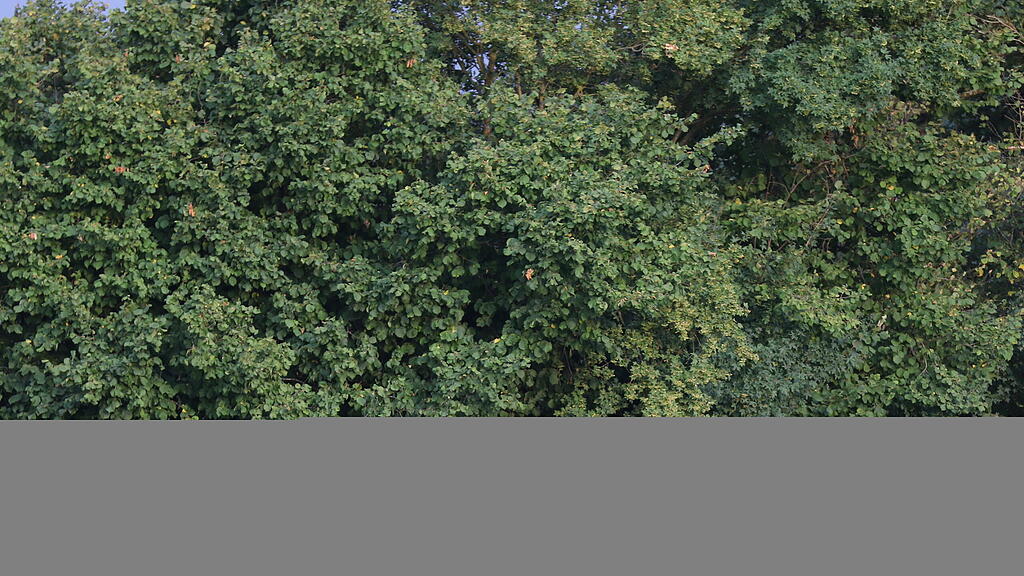 Brand, Italien, Feuer
