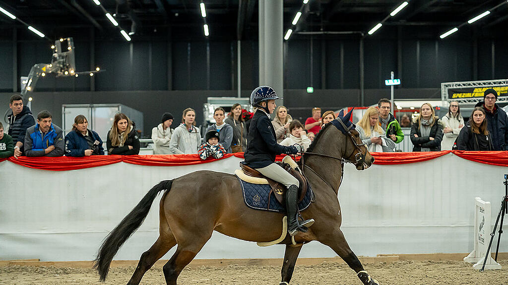 Amadeus Horse Indoors 2023