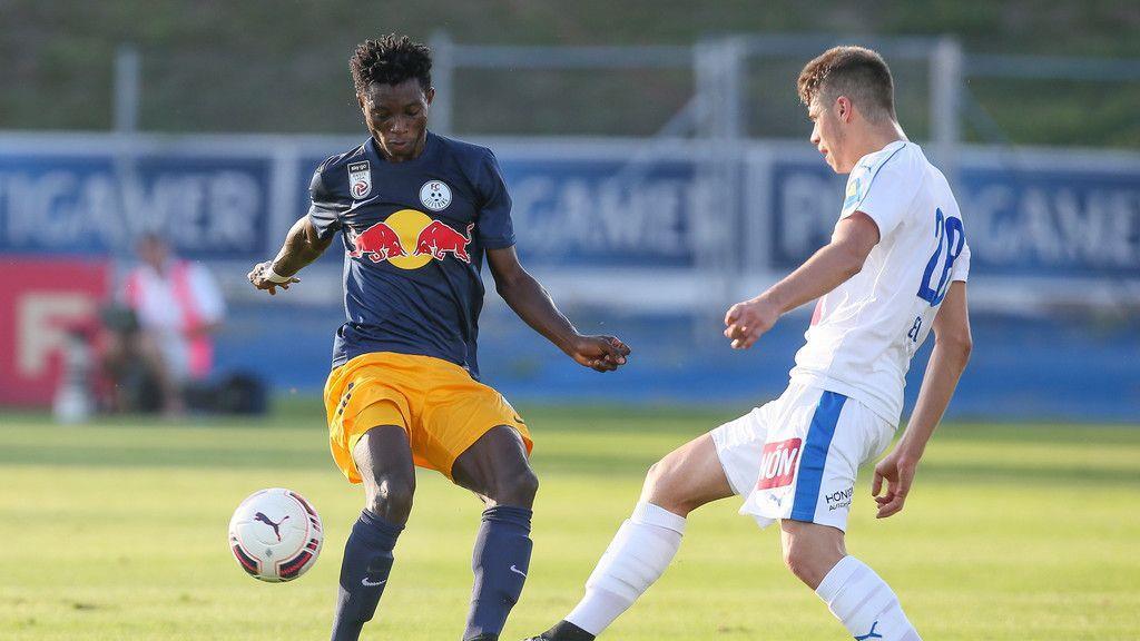 SC Wiener Neustadt - FC Liefering