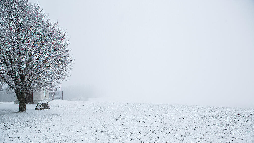 Schnee am Haunsberg