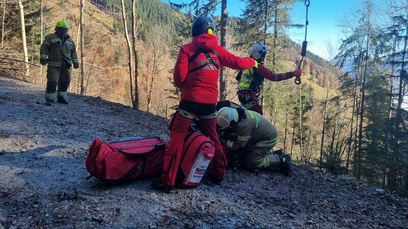 Forstunfall in Kuchl fordert Schwerverletzten
