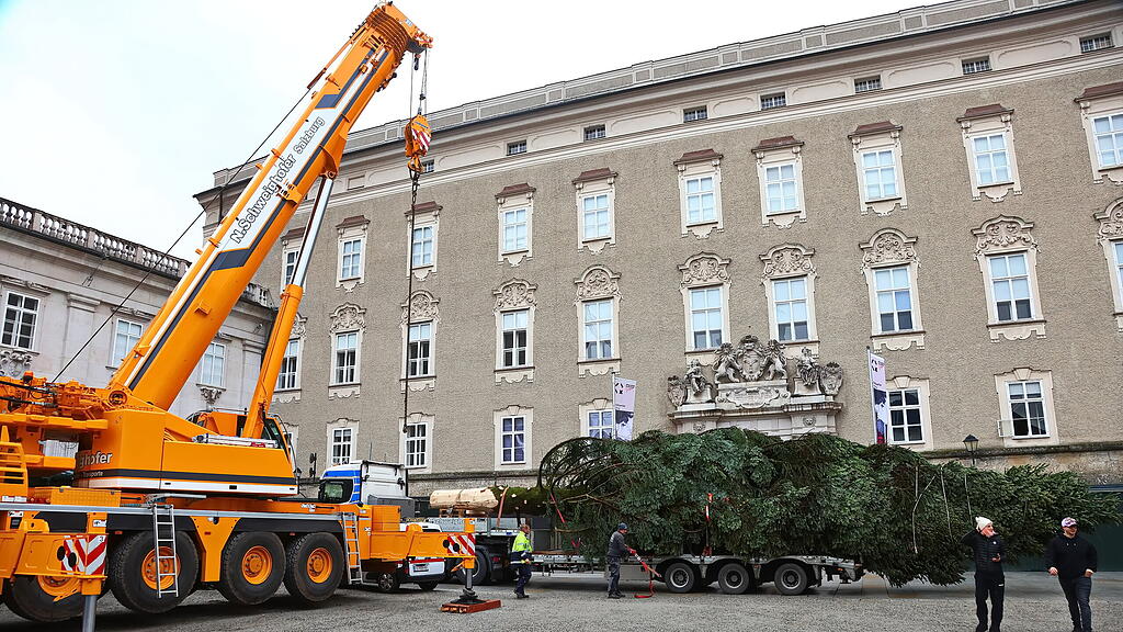 Baum am Christkindlmarkt eingetroffen II