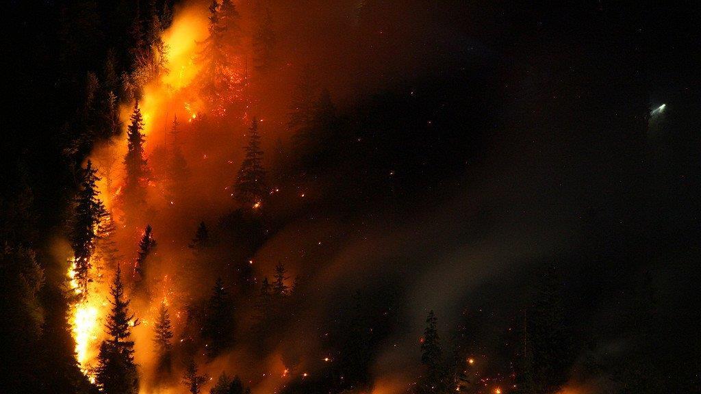 Waldbrand am Thumsee, III