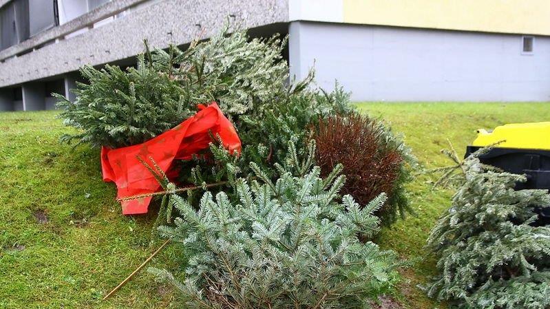 Christbaum-Entsorgung