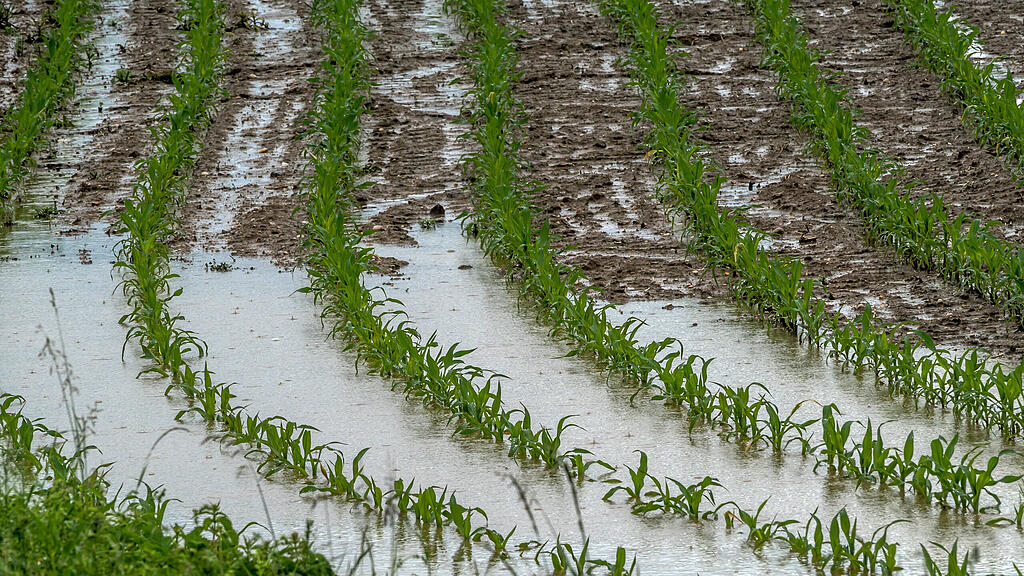 symb_Regen, symb_Landwirtschaft, symb_bauern