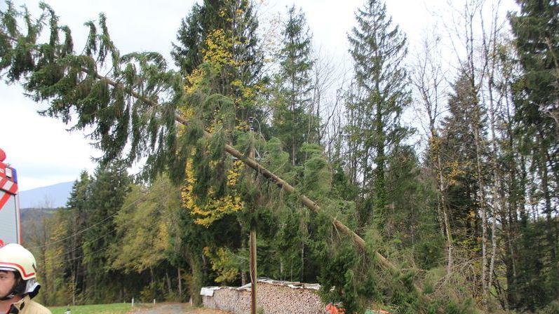 Einsätze in Thalgau