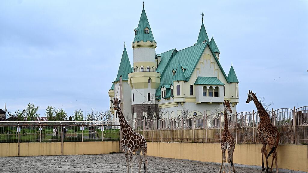 Zoo Demidiw