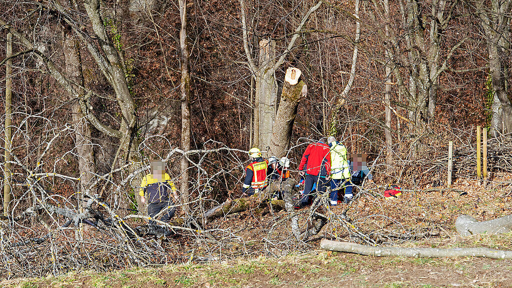 Forstunfall Marktschellenberg