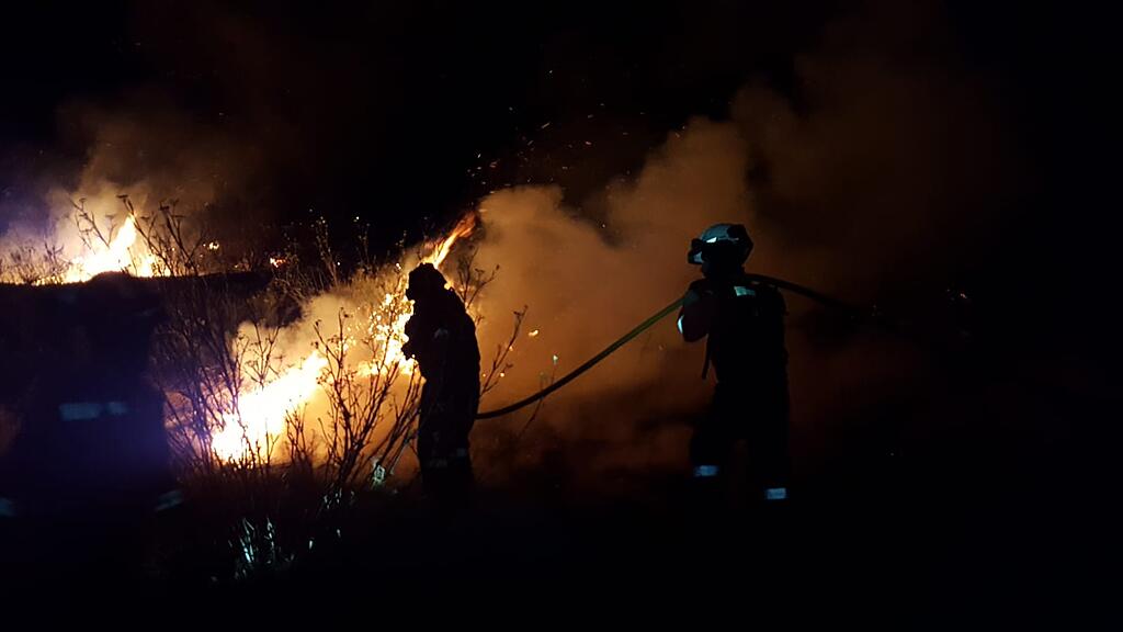 Waldbrand, Gran Canaria