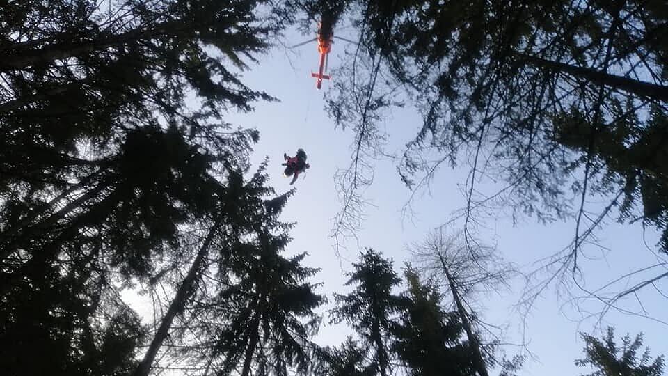 Forstunfall in Ramingstein