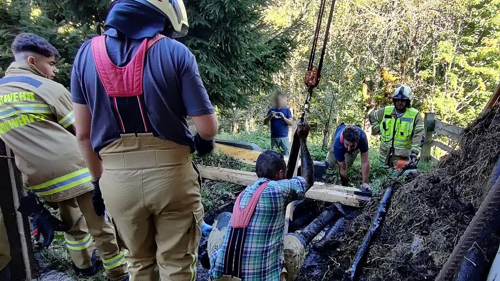 Kuh in Pfarrwerfen aus Jauchegrube gerettet