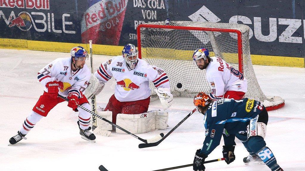 Red Bull Salzburg - Black Wings Linz