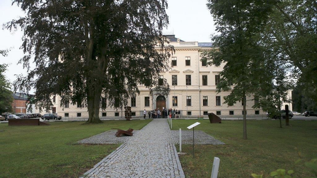 Bilder vom Prozess