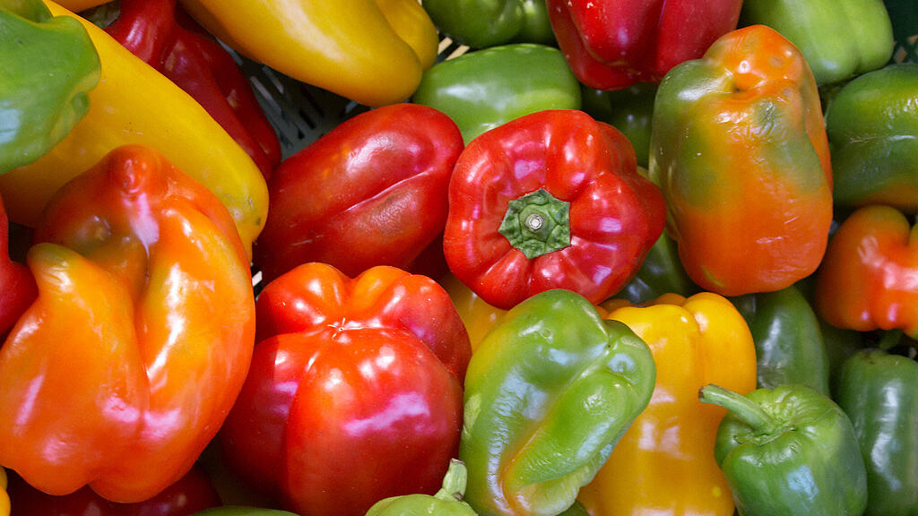 Paprika