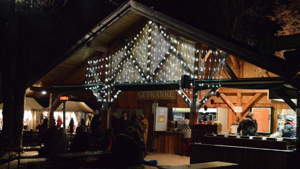 Waldklang in Anif