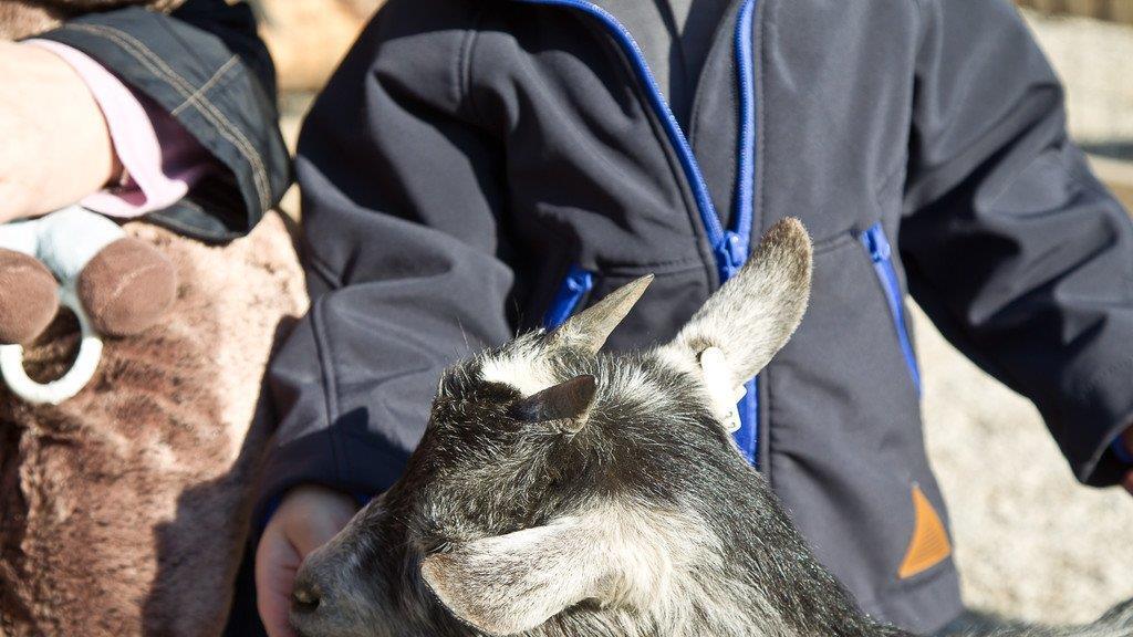 Frühlingserwachen im Salzburger Zoo