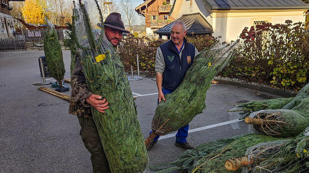 Aufbau des Plainer Christkindlmarkts in Bergheim