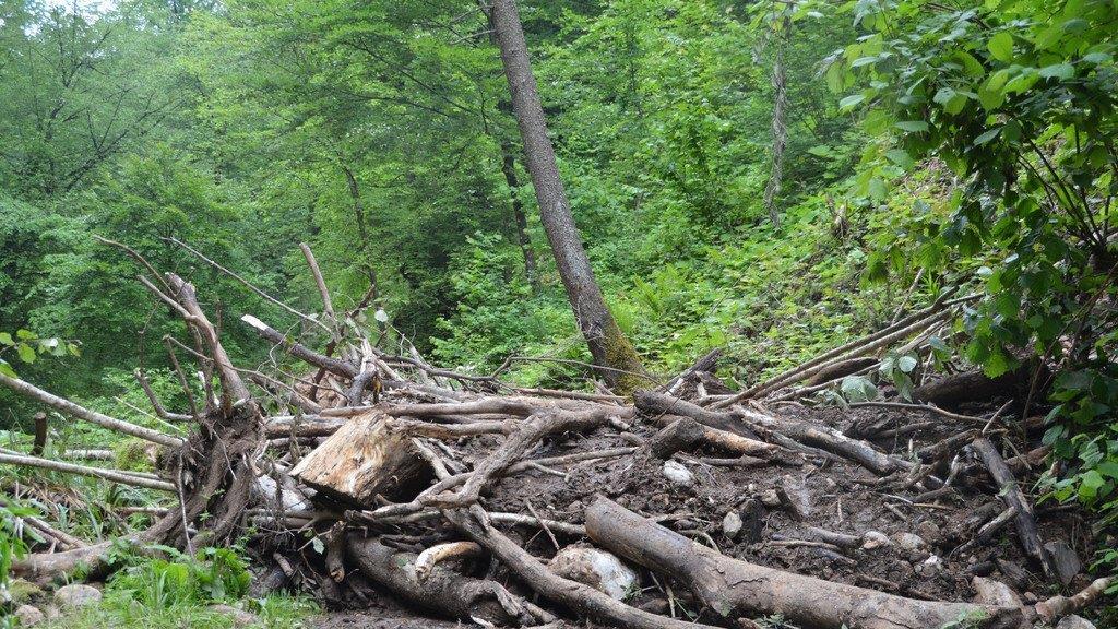 Hochwasser-Schäden in der Glasenbachklamm