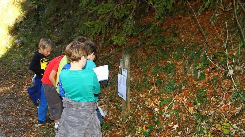Charity-Walk am Gaisberg