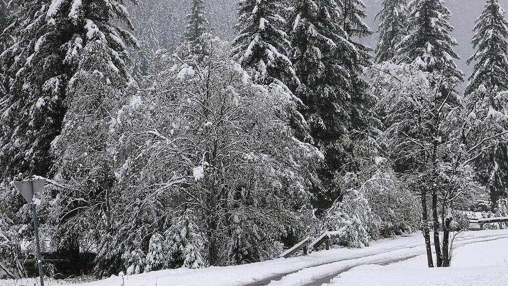 20241004_fmt_Schneefaelle_pp7.jpg