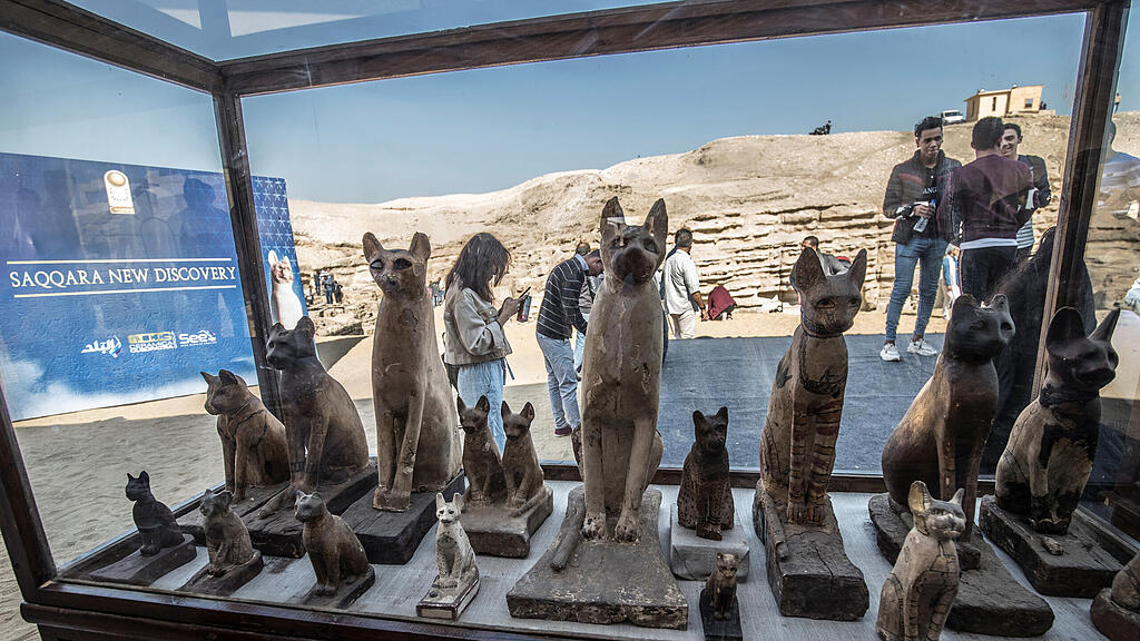 Mumifizierte Löwenbabys in Ägypten