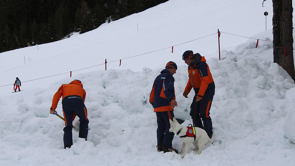 Lawinenhunde Bergrettung Training