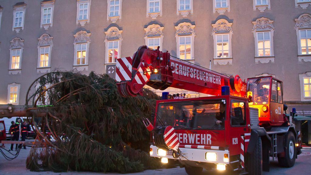 Christbaum ist angekommen