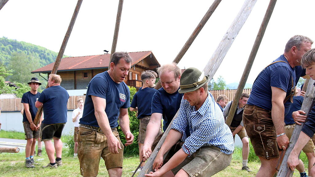 Bierfichte Aufstellen in Bad Vigaun