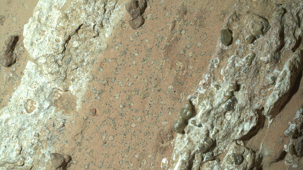 Möglicherweise Nachweis für früheres Leben auf dem Mars