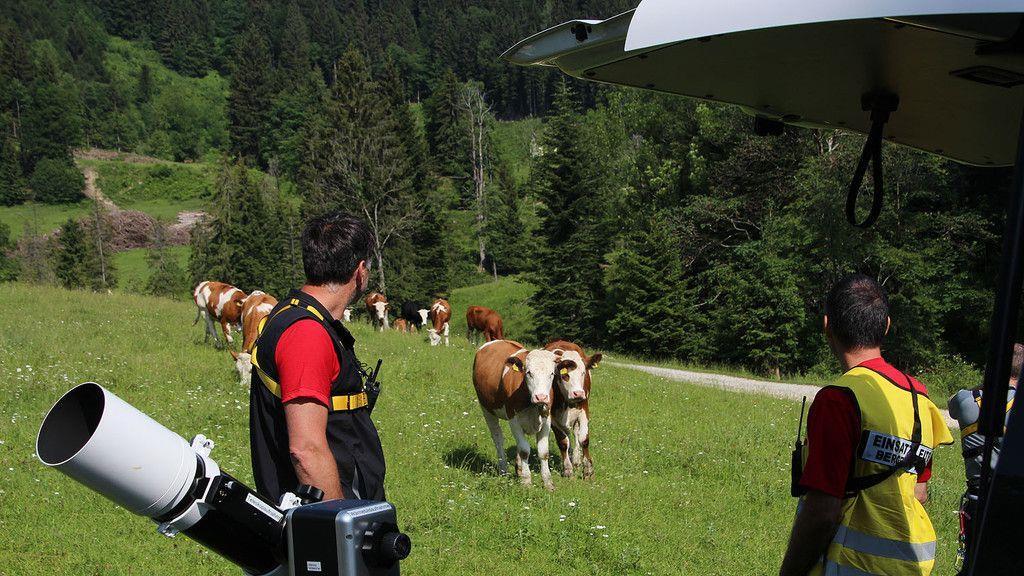 Suche nach vermisstem Bergsteiger