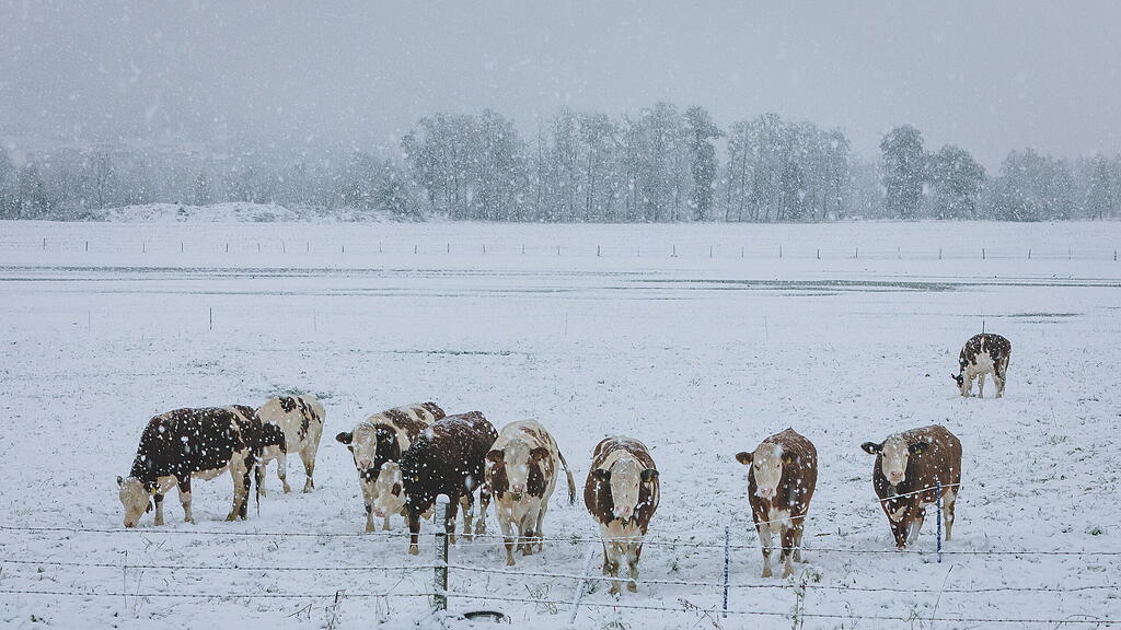 Wintereinbruch im Pinzgau